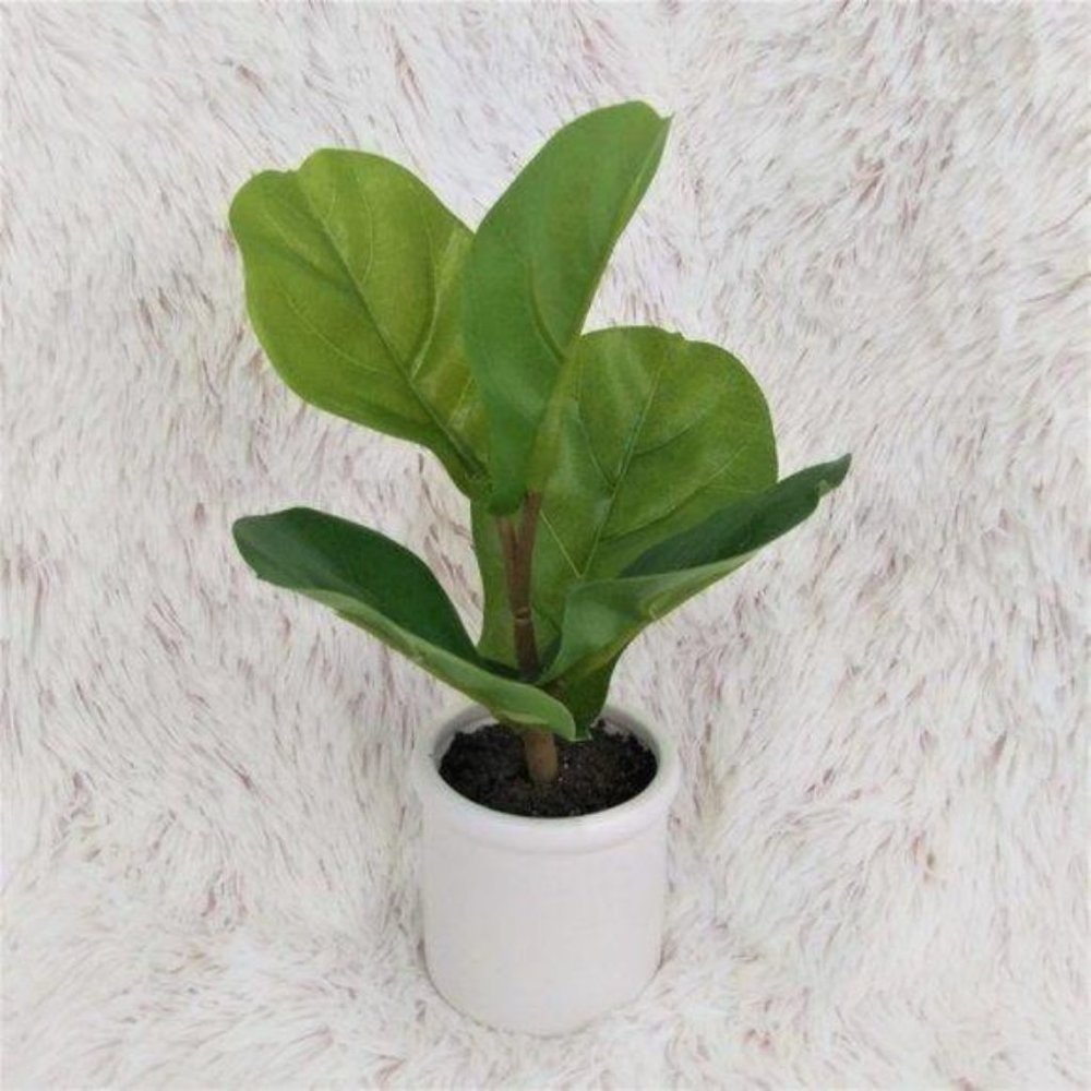NWT 2pk Artificial Fiddle-Leaf Plant Ceramic Pot - Picture 5 of 7